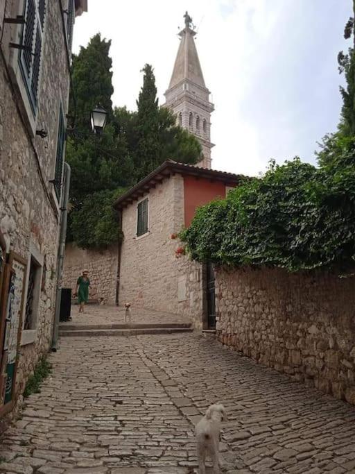 Apartament Little Heaven Rovinj Zewnętrze zdjęcie
